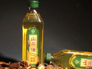 食用油选择指南 从标签到搭配，科学选油更健康